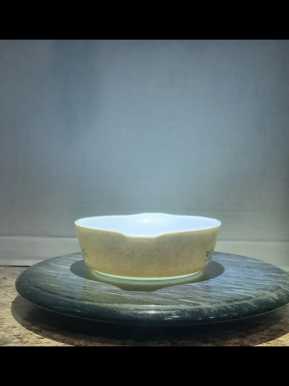Pyrex vintage homestead